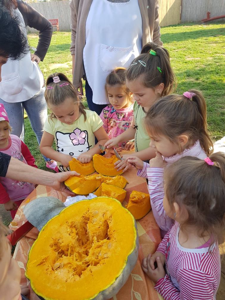 22770714 858682890972935 4383233870094035230 o