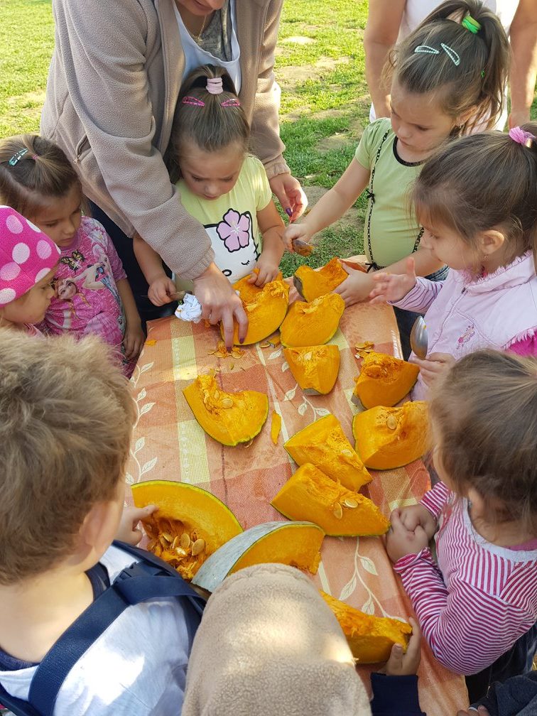 22792160 858683434306214 4139868351454286210 o