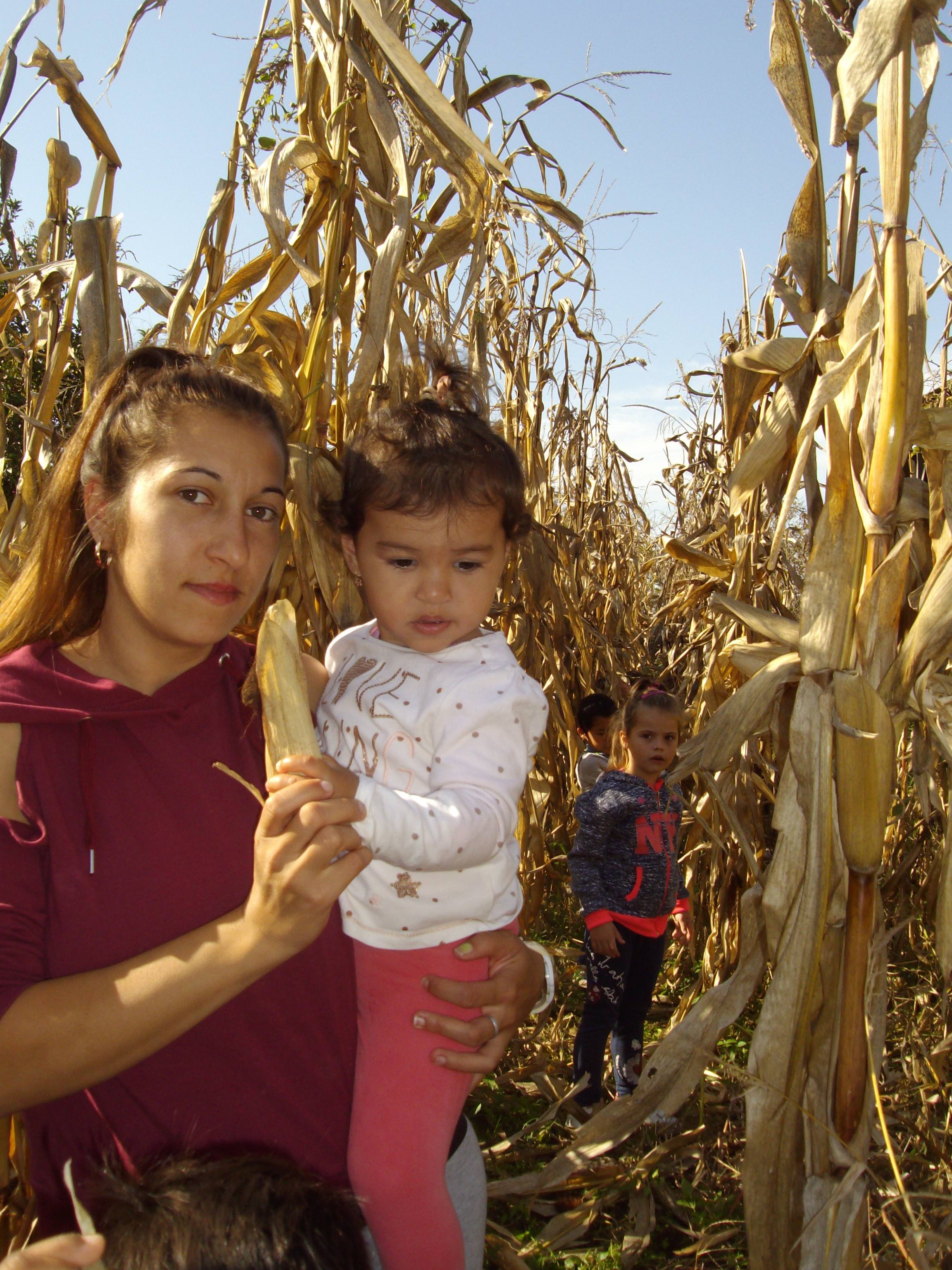 45954238 2242977036025799 4742181551675015168 n